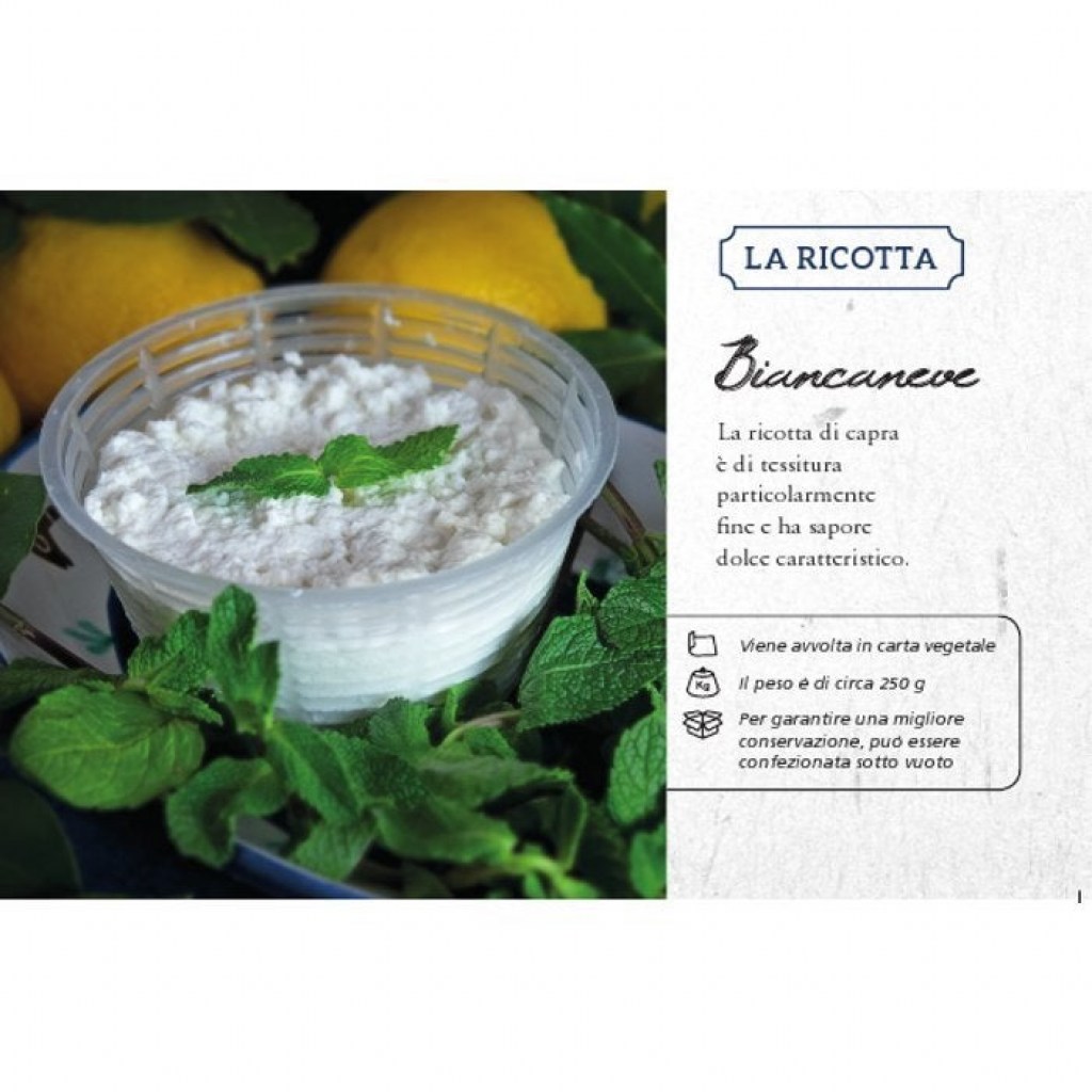 Biancaneve ricotta di capra